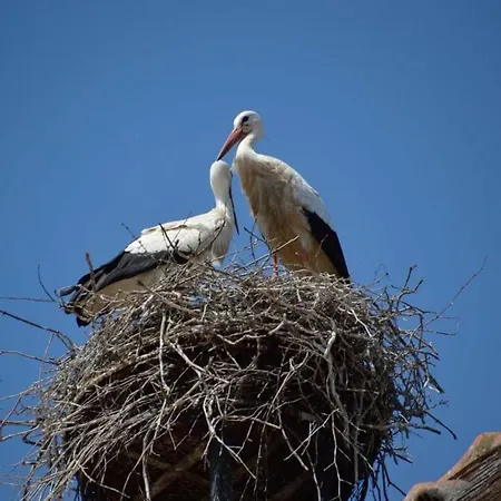 아파트 Quiet In Historic Village *
