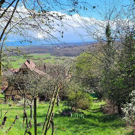 Apartment Quiet In Historic Village Oberbronn