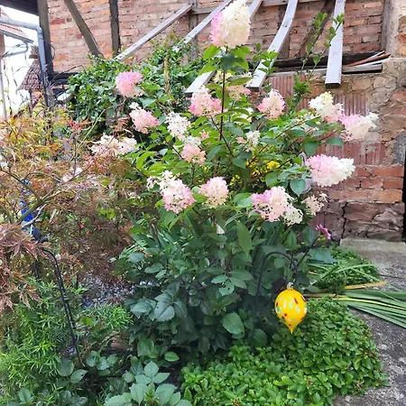 Quiet In Historic Village * Oberbronn